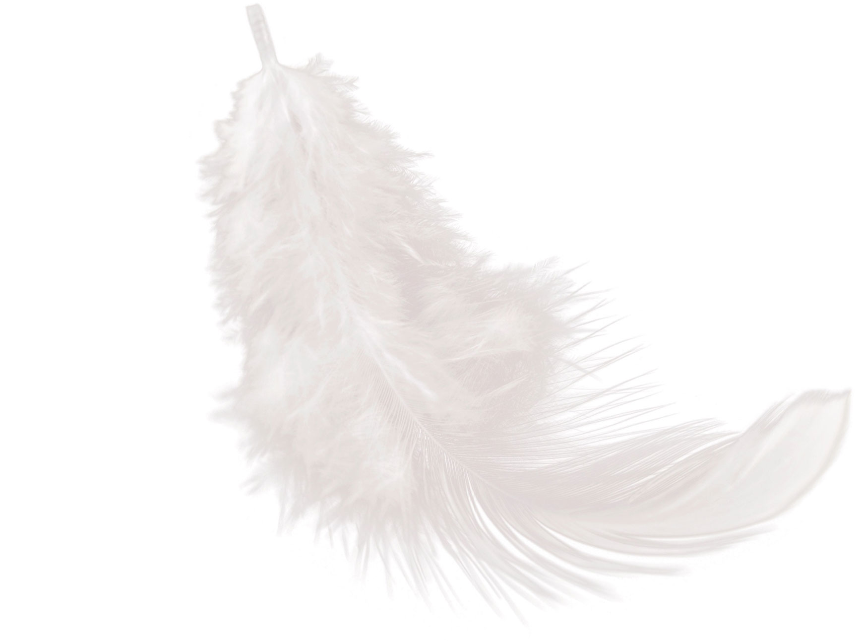 Number section background - section 1 - Étonnamment doux !